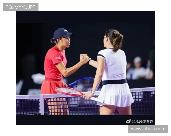 张帅红土赛季遭双杀 无缘马德里站32强